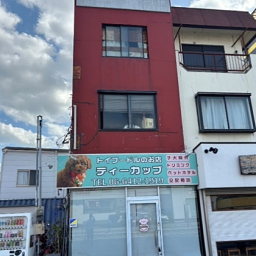 大庄中通連棟店舗 ★★改装協力金200万円★★大通り(国道2号線)に面す一棟店舗物件!何商可、重飲食可!壁面看板設置可能!間口3.50m!